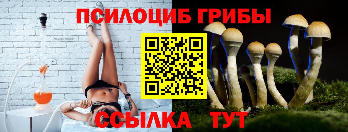 Галлюциногенные грибы мухоморы  Галлюциногенные грибы Psilocybe  Можга  Вход с VPN 