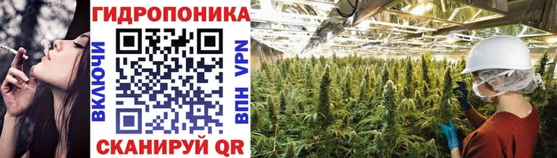 Бошки Шишки планчик Можга
